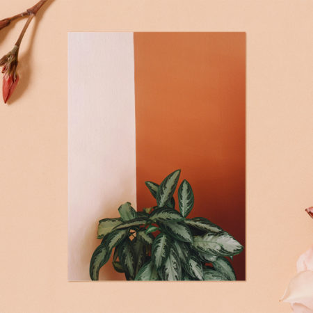 Houseplant Art Print