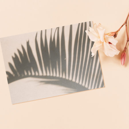 Large Palm Print